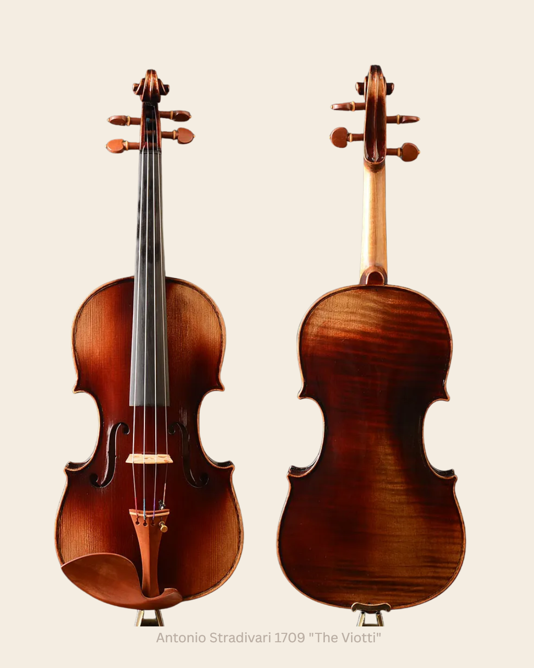 Violino Antonio Stradivari 1709 The Viotti